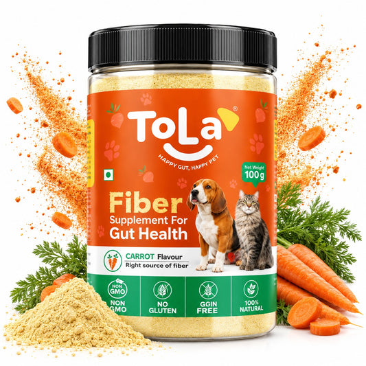 Pet Fiber Supplement with Carrot Flavour - 100 g