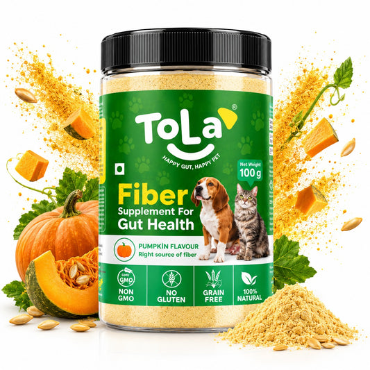 Fiber Supplement with Pumpkin Flavour - 100 g