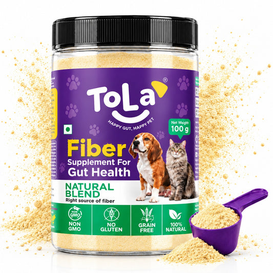 Fiber Supplement Powder | Natural Blend - 100 Gms
