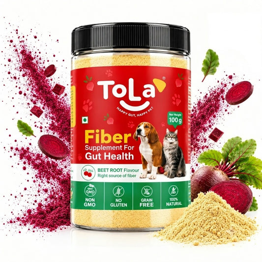 Fiber Supplement | Beetroot Flavor – 100g