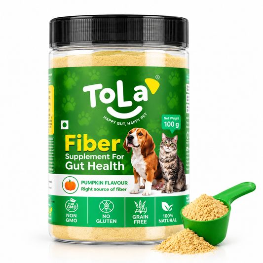Dog & Cat Fiber Supplement with Pumpkin Flavour