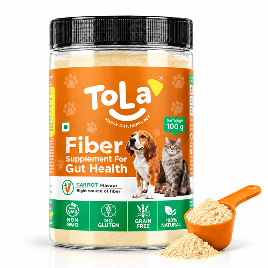 Pet Fiber Supplement with Carrot Flavour for Dogs & Cats