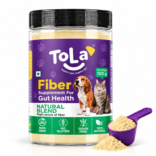 TOLA Gut Health Fiber Supplement Powder for Dogs & Cats - 100 Gms | Natural Plant-Based Fiber Blend | Supports Digestion, Healthy Stool & Bowel Regularity | Gluten-Free | Easy to Mix with Food